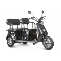 Электротрицикл Rutrike Топик Черный